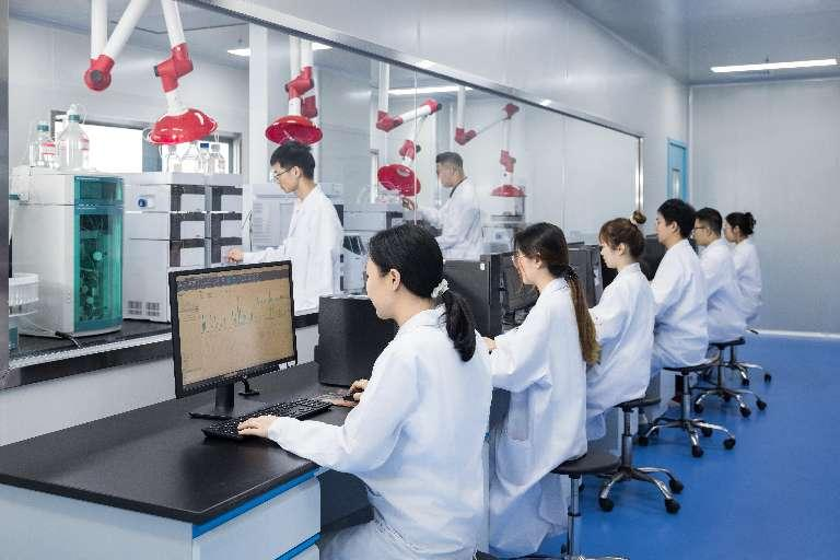 燕之屋榮獲“福建省工業(yè)龍頭企業(yè)”稱號，彰顯企業(yè)“領頭燕”地位